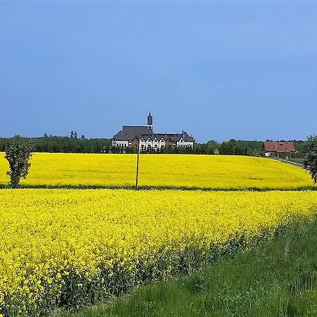 Las Sosnowy Łukęcin