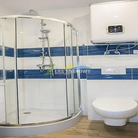 Las Sosnowy Appartement Łukęcin