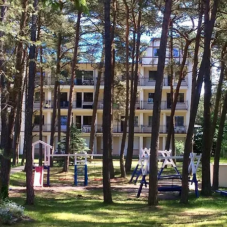 Las Sosnowy * Łukęcin