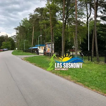 Las Sosnowy Lukecin