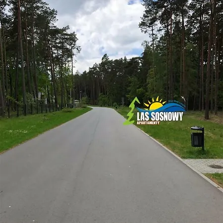 Las Sosnowy * Lukecin