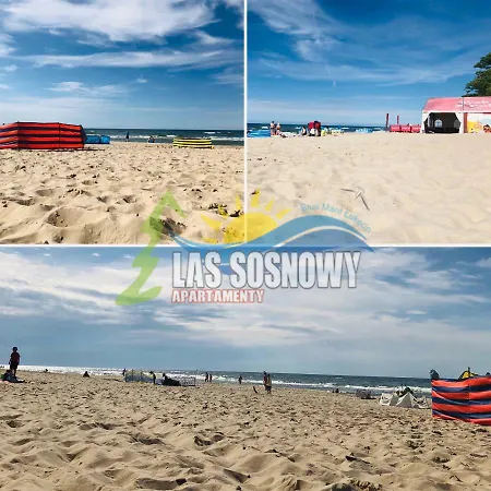 Las Sosnowy * Lukecin